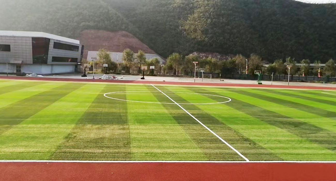 山西省临汾市古县第三中学草坪面积7200方